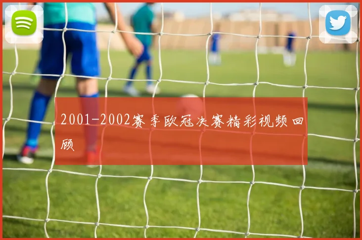 2001-2002赛季欧冠决赛精彩视频回顾