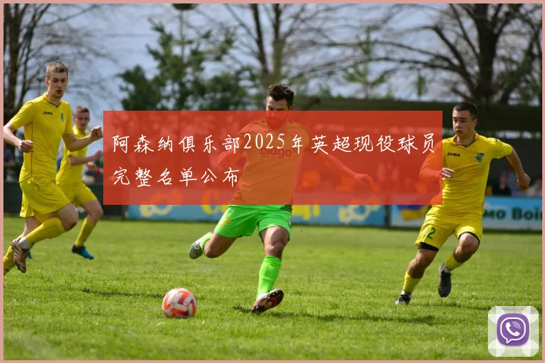 阿森纳俱乐部2025年英超现役球员完整名单公布